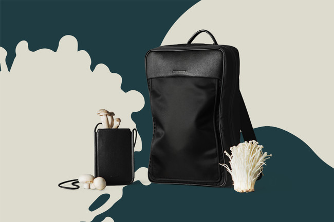 【Tsuchiya Kaban】Launch of bags crafted from a novel material derived from mushroom mycelium