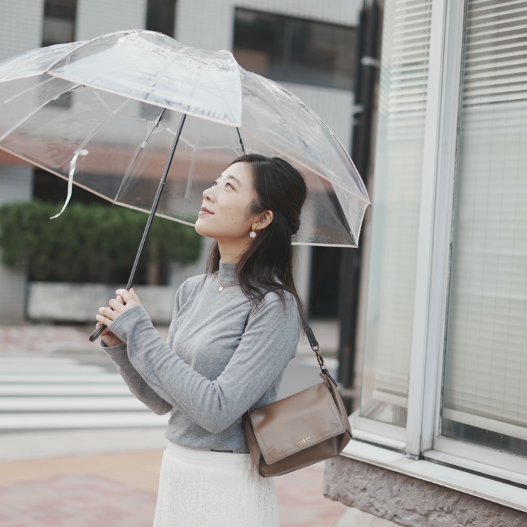 Looking Forward to Rainy Days: The Transparent Foldable Umbrella