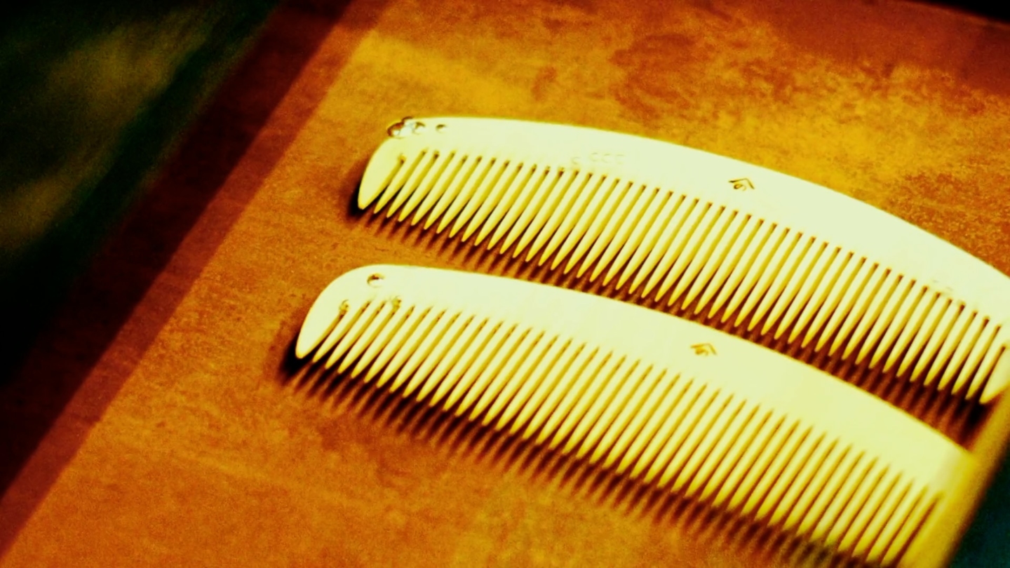 Hontsuge combs for beautiful hair, used for both daily care and fashion.