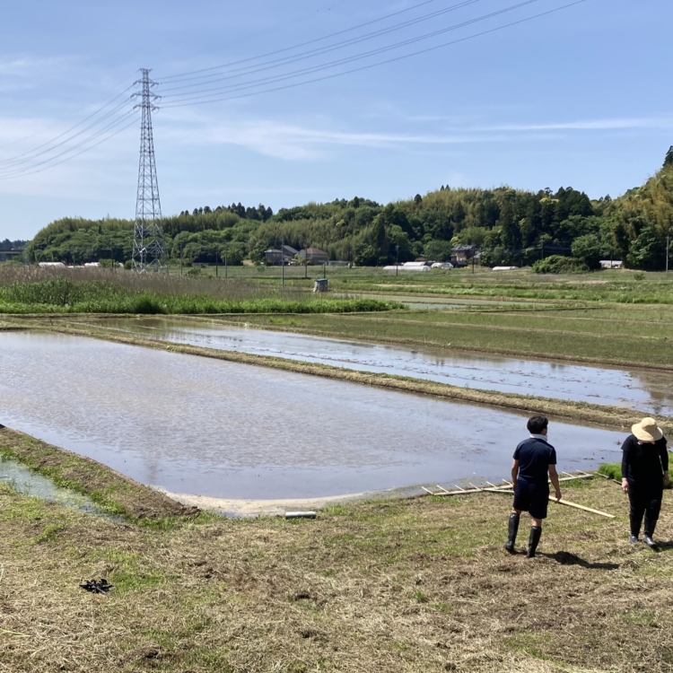 Eitaro Sohonpo, Where Confectionery Making Begins with Employees in the Rice Fields