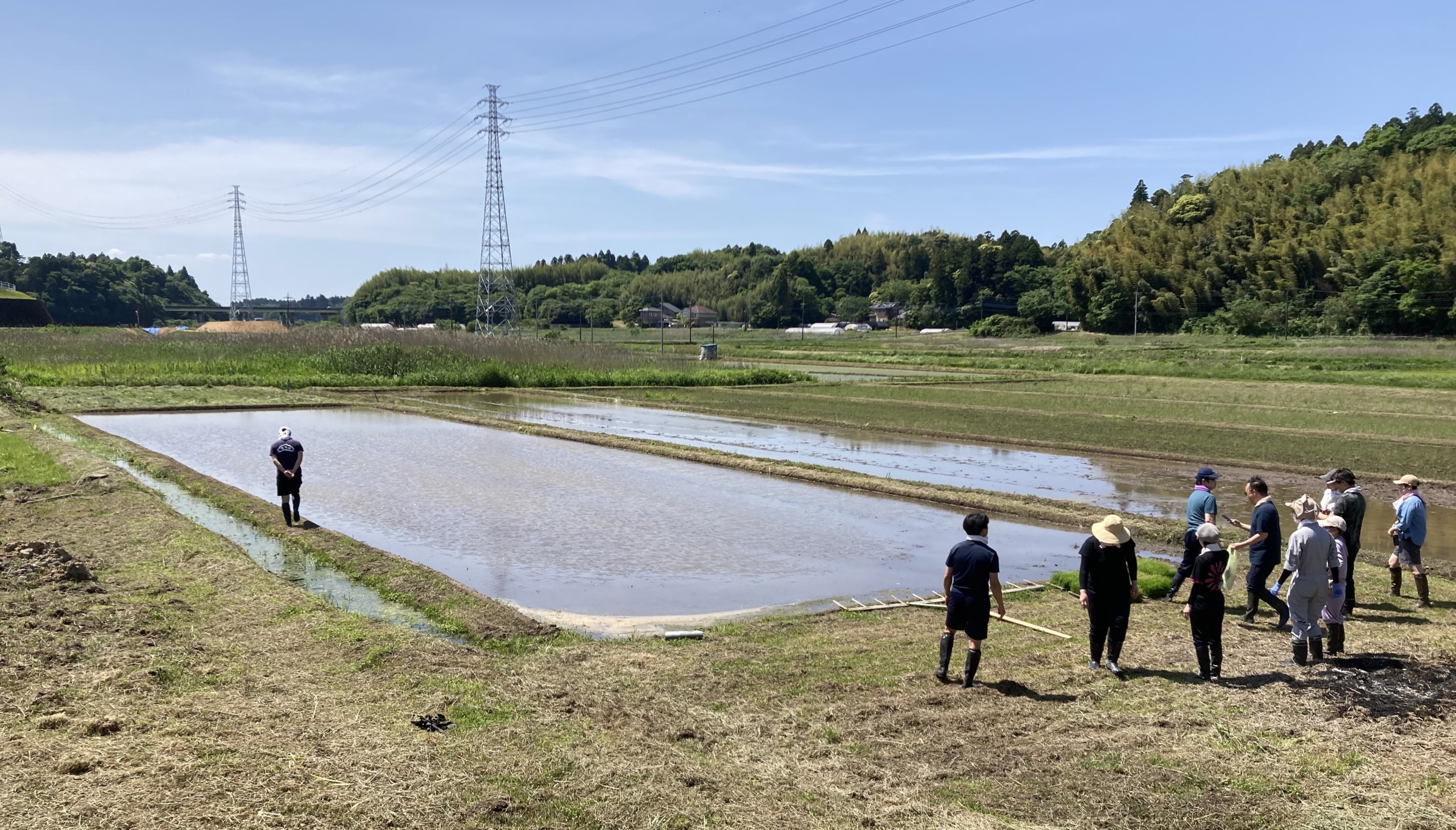 Edo Rice Fields Eitaro Sohonpo, Where Confectionery Making Begins with Employees in the ...