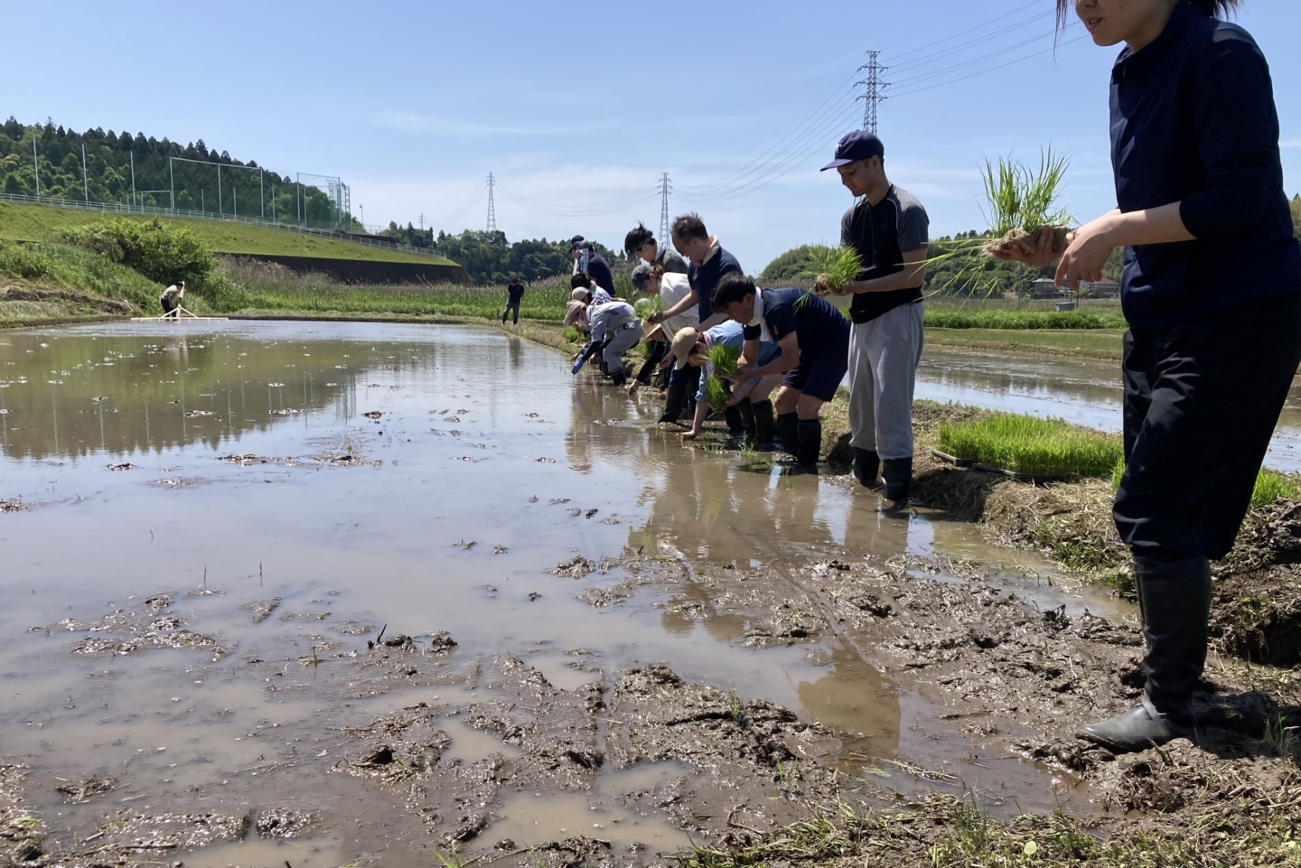 Eitaro Sohonpo, Where Confectionery Making Begins with Employees in the Rice Fields