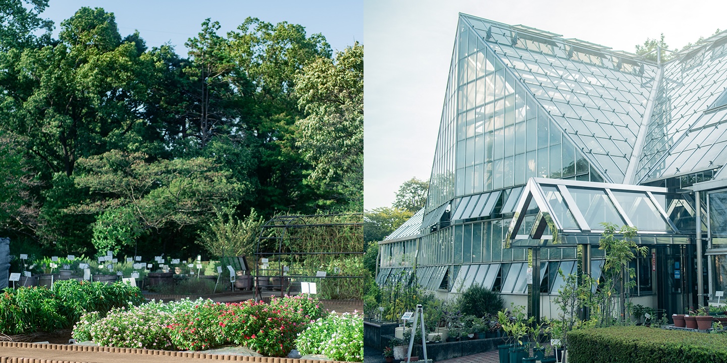 [Tokyo Metropolitan Medicinal Botanical Garden] Finding Purpose in a 365-Day Natural Wonderland