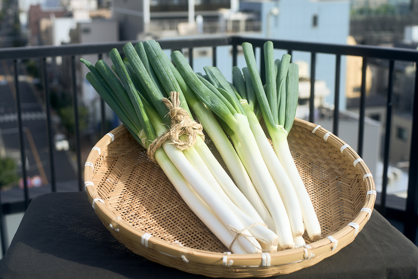 Negizen: Tale of the Revival of Edo White Spring Onions