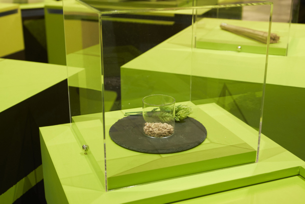 [“Naniga Umareru? Ten: Japanese Craftsmanship Exhibition” at Omotesando Hills!]